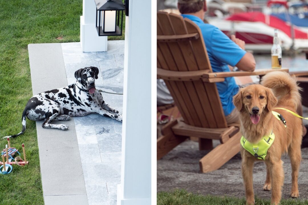 Pet Friendly Hotel in Canandaigua
